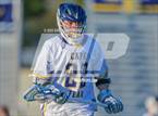 Photo from the gallery "Pine Forest @ Cape Fear"