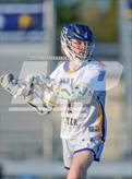 Photo from the gallery "Pine Forest @ Cape Fear"