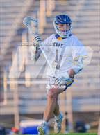 Photo from the gallery "Pine Forest @ Cape Fear"