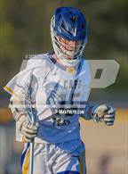 Photo from the gallery "Pine Forest @ Cape Fear"