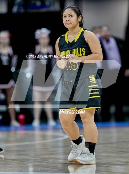 Thumbnail 1 in Sunny Hills vs. West Campus (CIF State D3 Final) photogallery.