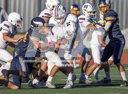 Thumbnail 2 in JV: Beckman @ Marina photogallery.