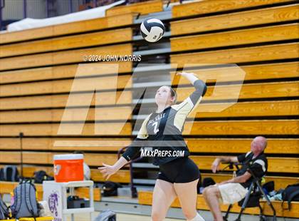 Thumbnail 3 in Daleville vs. Leo (Leo Invite) photogallery.