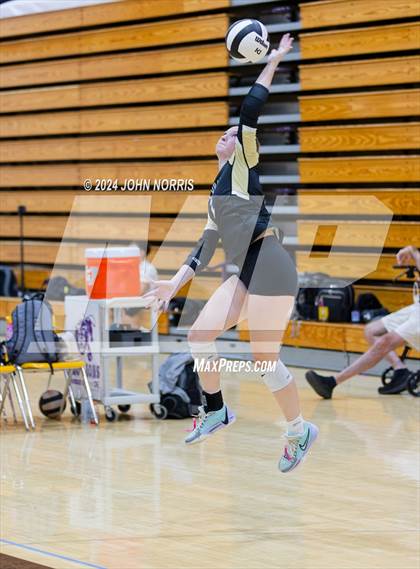 Thumbnail 3 in Daleville vs. Leo (Leo Invite) photogallery.