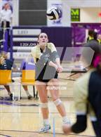 Photo from the gallery "Daleville vs. Leo (Leo Invite)"
