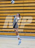 Photo from the gallery "Daleville vs. Leo (Leo Invite)"