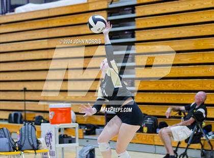 Thumbnail 1 in Daleville vs. Leo (Leo Invite) photogallery.