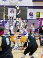 Photo from the gallery "Daleville vs. Leo (Leo Invite)"