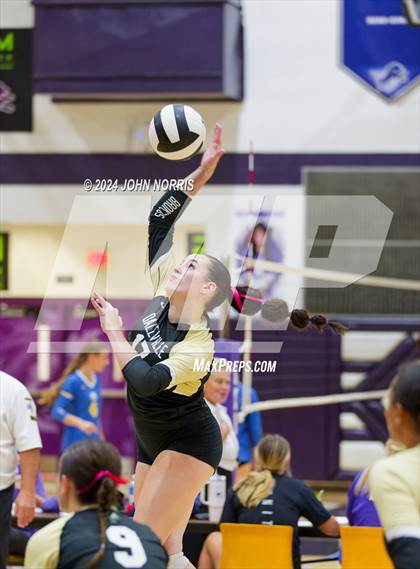 Thumbnail 2 in Daleville vs. Leo (Leo Invite) photogallery.