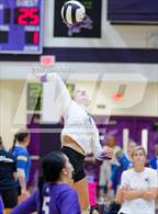 Photo from the gallery "Daleville vs. Leo (Leo Invite)"