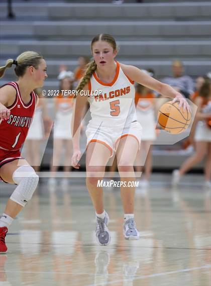 Thumbnail 1 in Springville @ Skyridge photogallery.