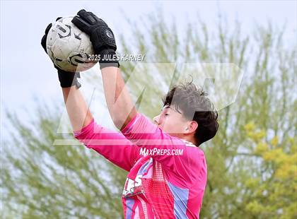 Thumbnail 2 in Sports Leadership & Management @ Doral Academy Red Rock photogallery.