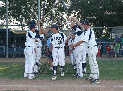 Thumbnail 2 in Davis @ Elk Grove photogallery.