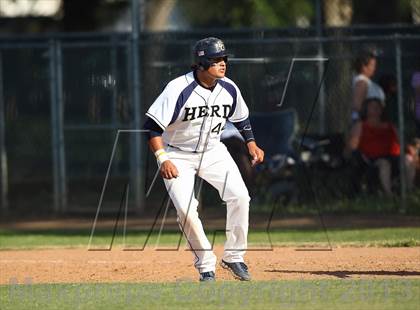 Thumbnail 2 in Davis @ Elk Grove photogallery.