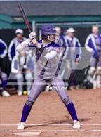 Photo from the gallery "Spanish Springs @ Douglas"