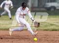 Photo from the gallery "Spanish Springs @ Douglas"