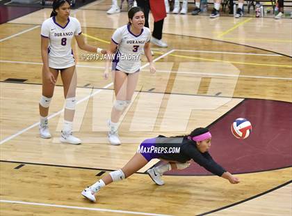 Thumbnail 3 in Palo Verde vs. Durango( NIAA State 4A Semifinal) photogallery.