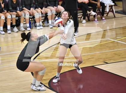 Thumbnail 3 in Palo Verde vs. Durango( NIAA State 4A Semifinal) photogallery.