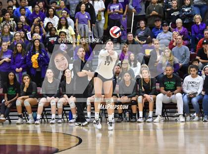 Thumbnail 1 in Palo Verde vs. Durango( NIAA State 4A Semifinal) photogallery.