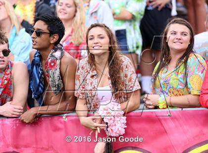 Thumbnail 1 in Ooltewah vs. Riverdale (Middle Tennessee Football Classic) photogallery.