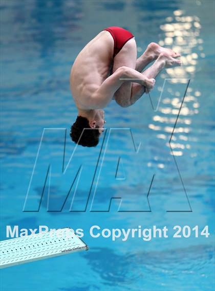 Thumbnail 1 in CHSAA 5A State Championships (Diving Prelim) photogallery.