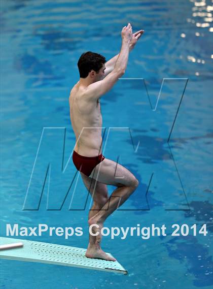 Thumbnail 2 in CHSAA 5A State Championships (Diving Prelim) photogallery.