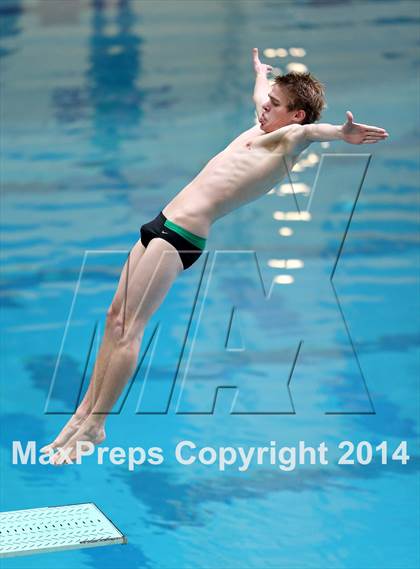 Thumbnail 3 in CHSAA 5A State Championships (Diving Prelim) photogallery.