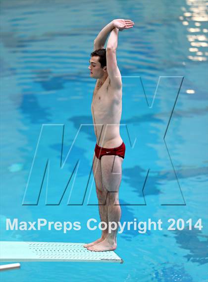 Thumbnail 3 in CHSAA 5A State Championships (Diving Prelim) photogallery.