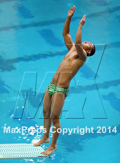 Thumbnail 1 in CHSAA 5A State Championships (Diving Prelim) photogallery.