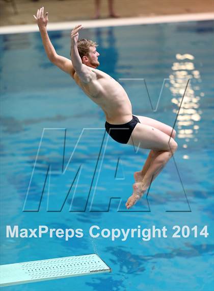 Thumbnail 1 in CHSAA 5A State Championships (Diving Prelim) photogallery.