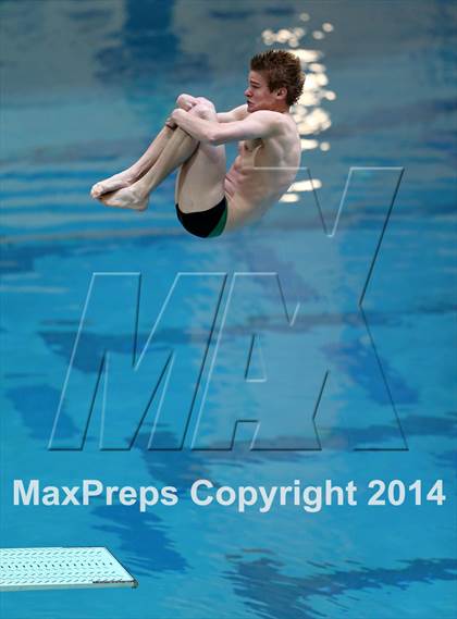 Thumbnail 3 in CHSAA 5A State Championships (Diving Prelim) photogallery.