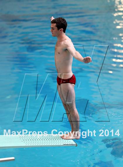 Thumbnail 2 in CHSAA 5A State Championships (Diving Prelim) photogallery.