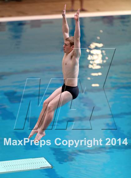 Thumbnail 1 in CHSAA 5A State Championships (Diving Prelim) photogallery.