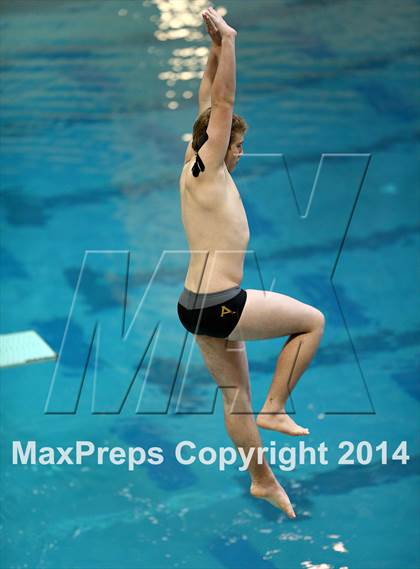 Thumbnail 1 in CHSAA 5A State Championships (Diving Prelim) photogallery.