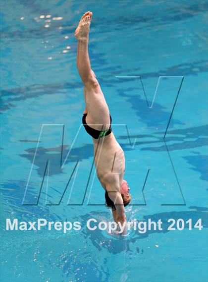 Thumbnail 1 in CHSAA 5A State Championships (Diving Prelim) photogallery.