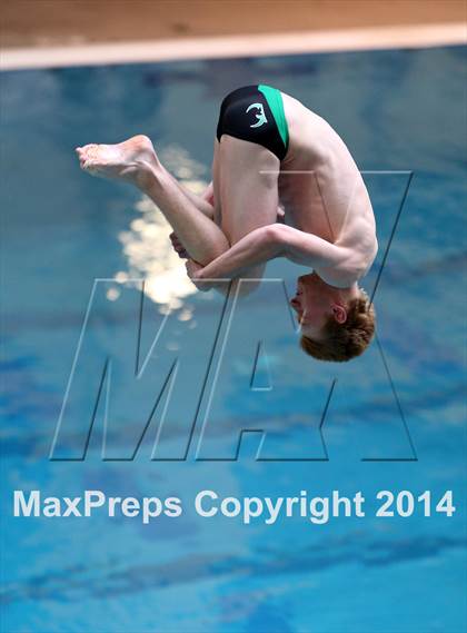 Thumbnail 3 in CHSAA 5A State Championships (Diving Prelim) photogallery.