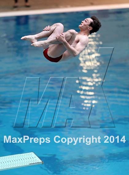 Thumbnail 2 in CHSAA 5A State Championships (Diving Prelim) photogallery.