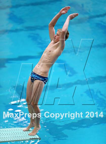Thumbnail 1 in CHSAA 5A State Championships (Diving Prelim) photogallery.
