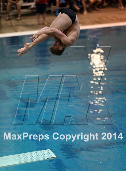 Thumbnail 3 in CHSAA 5A State Championships (Diving Prelim) photogallery.