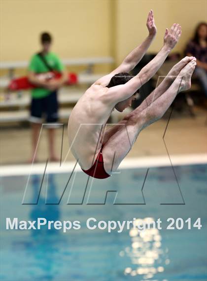 Thumbnail 1 in CHSAA 5A State Championships (Diving Prelim) photogallery.