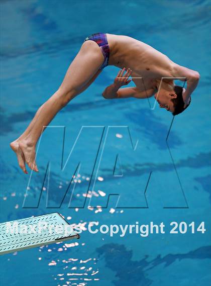Thumbnail 3 in CHSAA 5A State Championships (Diving Prelim) photogallery.