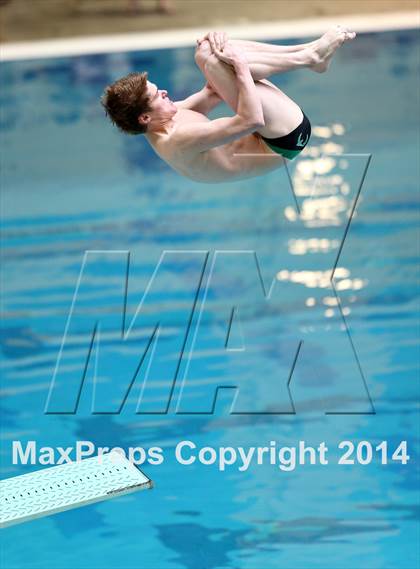 Thumbnail 3 in CHSAA 5A State Championships (Diving Prelim) photogallery.