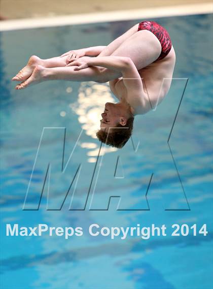 Thumbnail 1 in CHSAA 5A State Championships (Diving Prelim) photogallery.