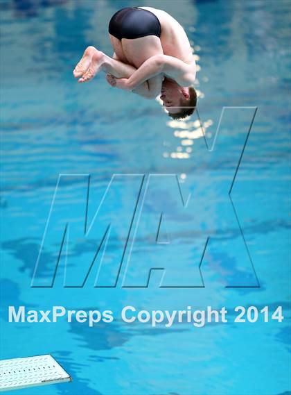 Thumbnail 2 in CHSAA 5A State Championships (Diving Prelim) photogallery.