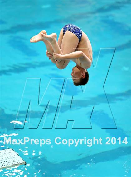 Thumbnail 3 in CHSAA 5A State Championships (Diving Prelim) photogallery.