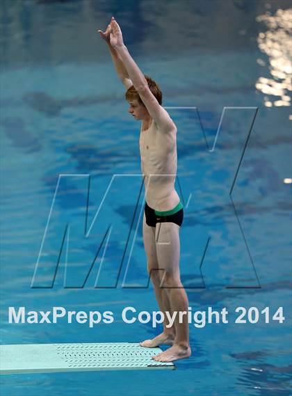 Thumbnail 3 in CHSAA 5A State Championships (Diving Prelim) photogallery.