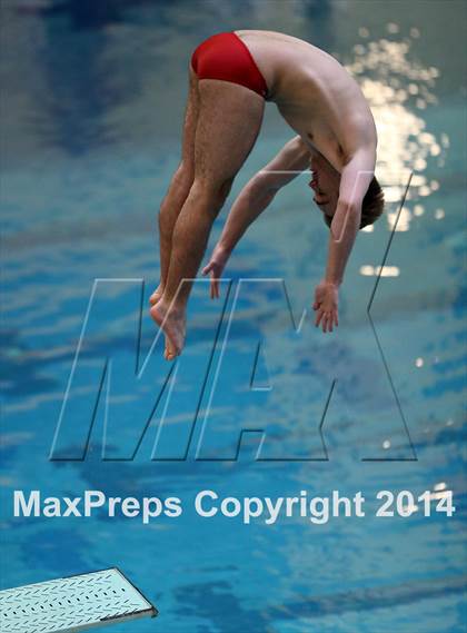 Thumbnail 3 in CHSAA 5A State Championships (Diving Prelim) photogallery.