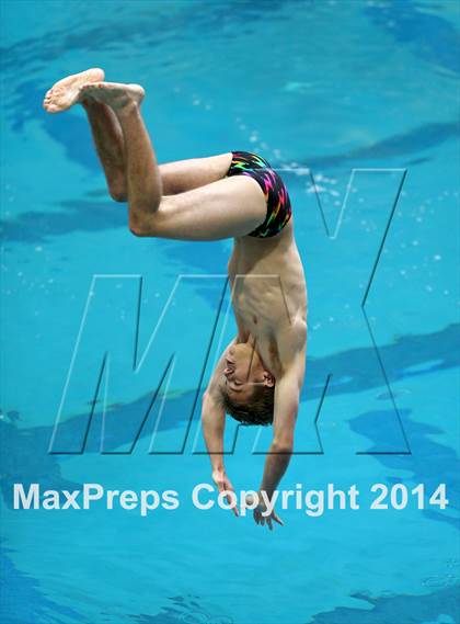 Thumbnail 3 in CHSAA 5A State Championships (Diving Prelim) photogallery.