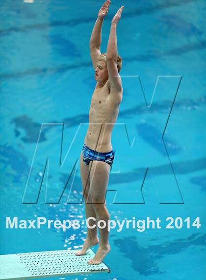 Thumbnail 2 in CHSAA 5A State Championships (Diving Prelim) photogallery.