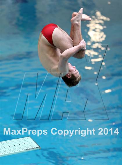 Thumbnail 3 in CHSAA 5A State Championships (Diving Prelim) photogallery.